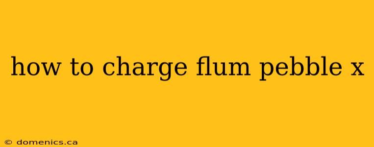 how to charge flum pebble x