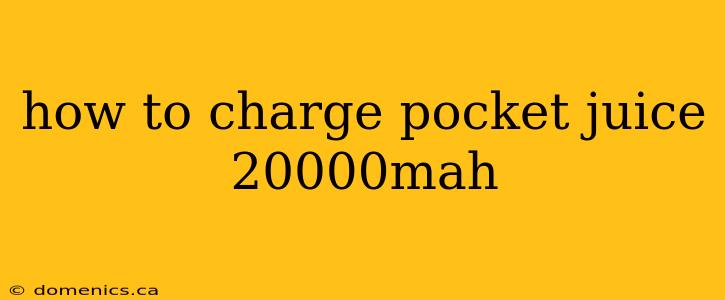 how to charge pocket juice 20000mah