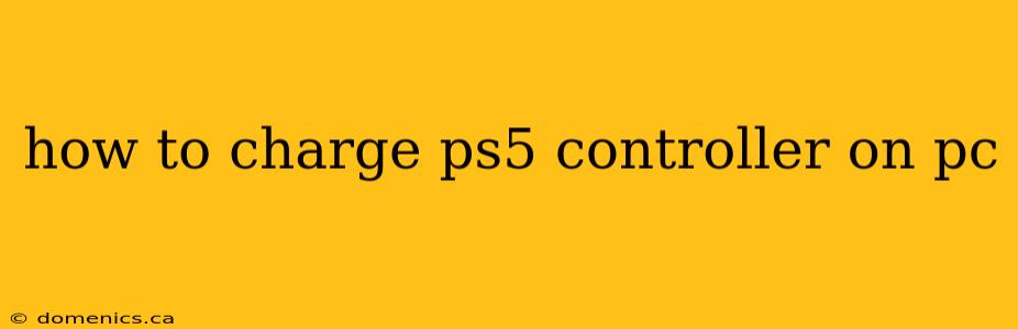 how to charge ps5 controller on pc