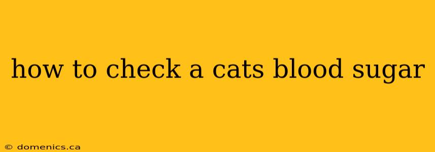 how to check a cats blood sugar