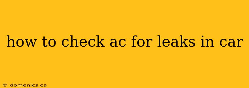 how to check ac for leaks in car