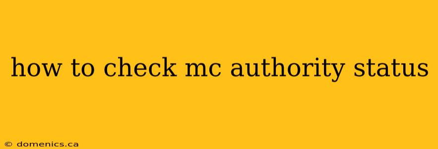 how to check mc authority status