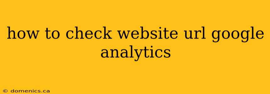 how to check website url google analytics