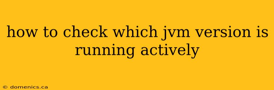 how to check which jvm version is running actively