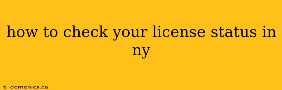 how to check your license status in ny