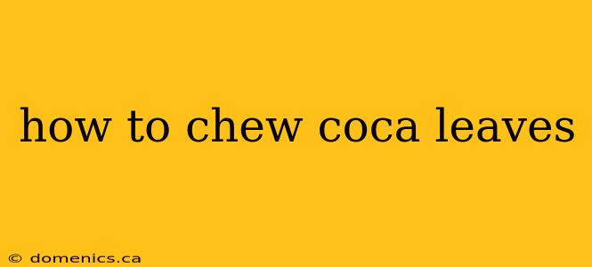 how to chew coca leaves