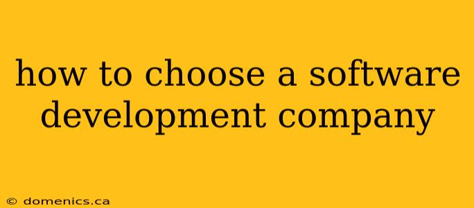 how to choose a software development company