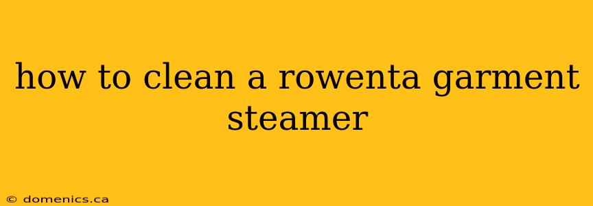 how to clean a rowenta garment steamer