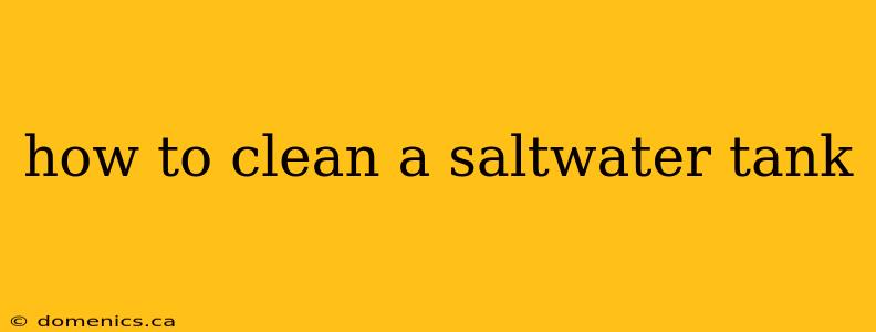 how to clean a saltwater tank