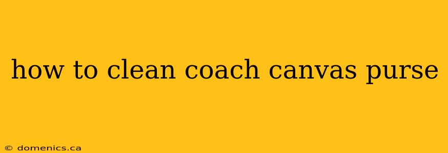 how to clean coach canvas purse