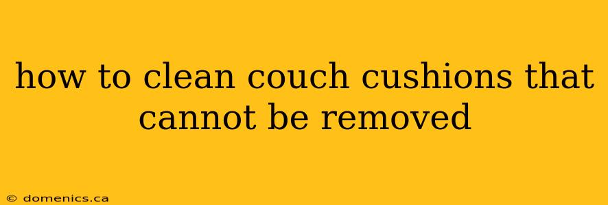 how to clean couch cushions that cannot be removed