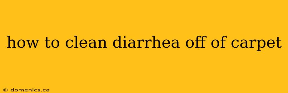 how to clean diarrhea off of carpet