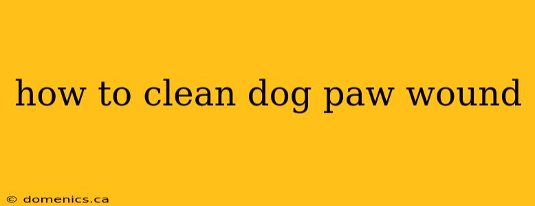 how to clean dog paw wound