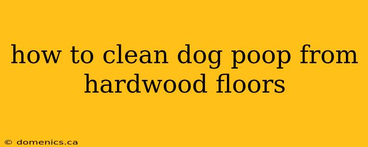 how to clean dog poop from hardwood floors