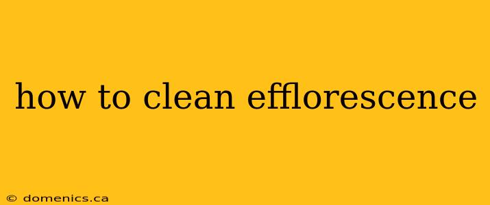 how to clean efflorescence