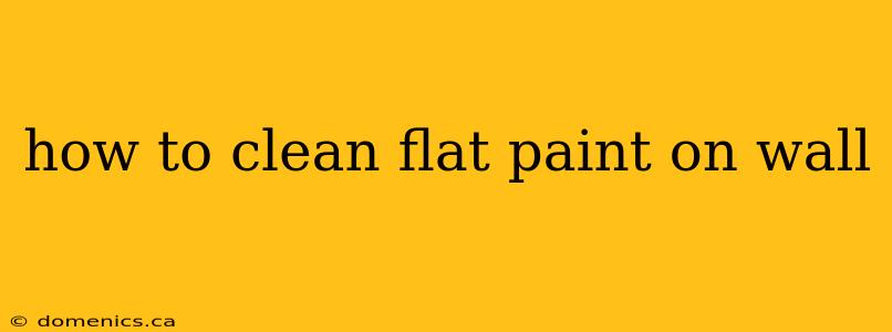 how to clean flat paint on wall