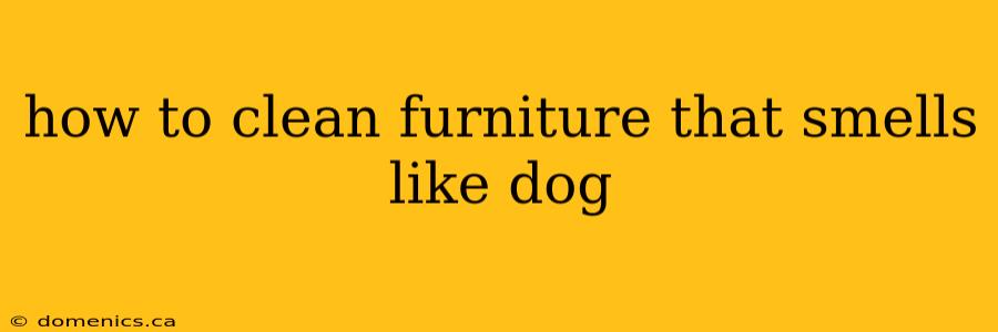 how to clean furniture that smells like dog