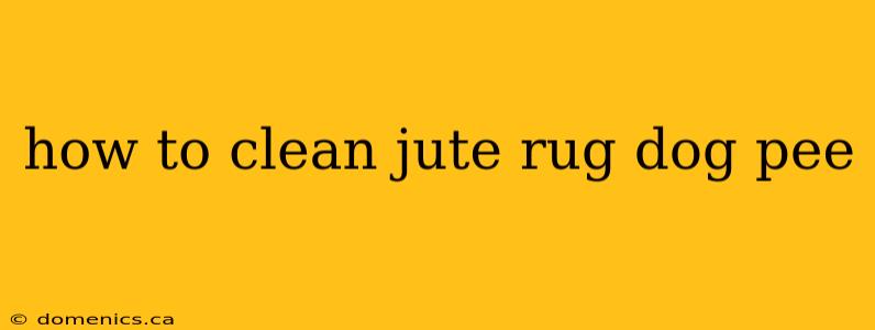 how to clean jute rug dog pee