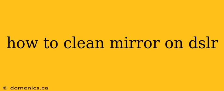 how to clean mirror on dslr