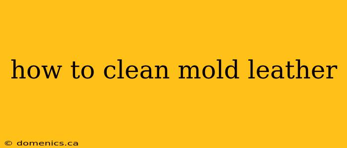 how to clean mold leather