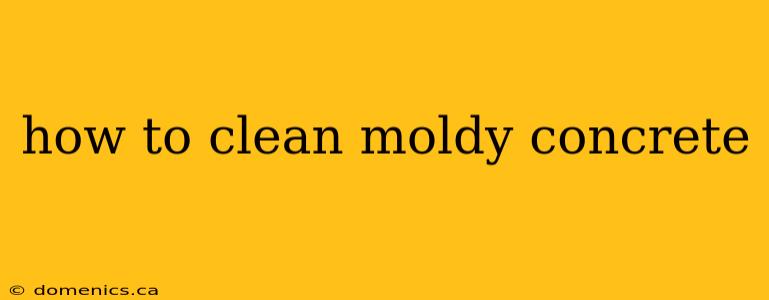 how to clean moldy concrete