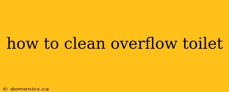 how to clean overflow toilet