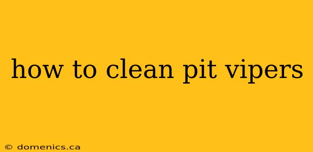 how to clean pit vipers