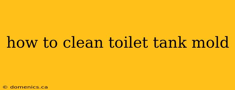 how to clean toilet tank mold