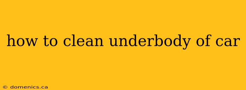 how to clean underbody of car