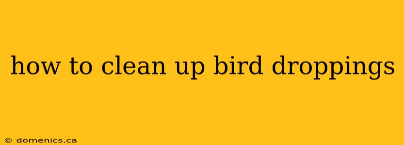 how to clean up bird droppings