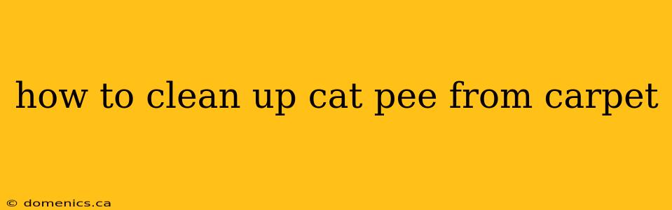 how to clean up cat pee from carpet