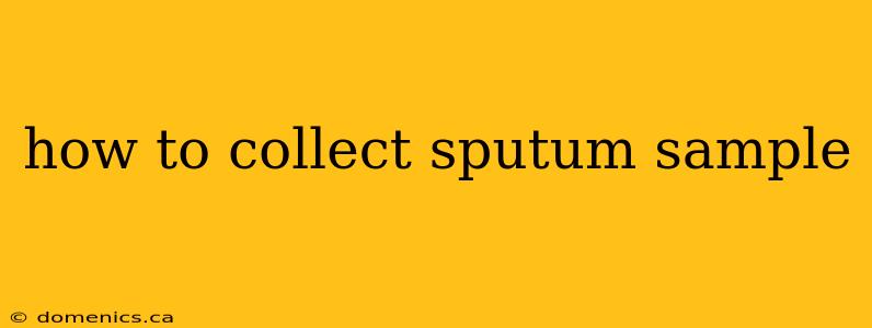 how to collect sputum sample