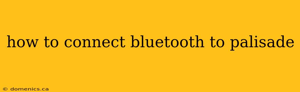 how to connect bluetooth to palisade