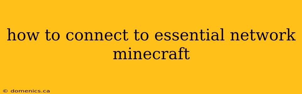 how to connect to essential network minecraft