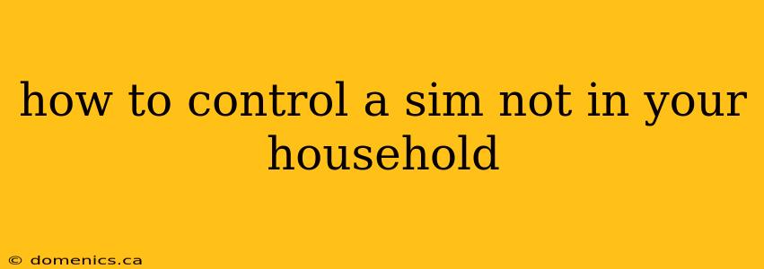 how to control a sim not in your household