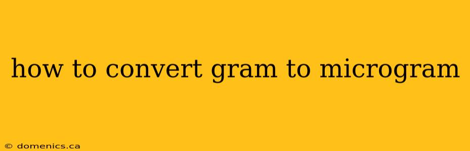 how to convert gram to microgram