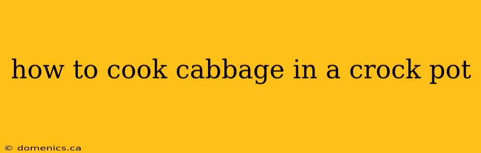 how to cook cabbage in a crock pot