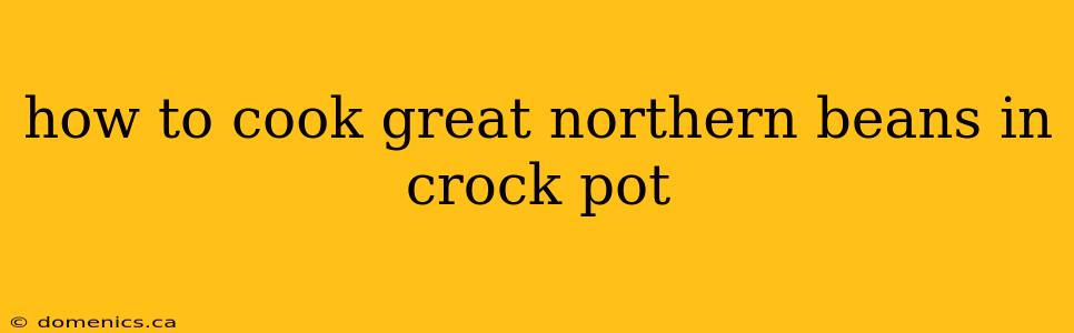 how to cook great northern beans in crock pot