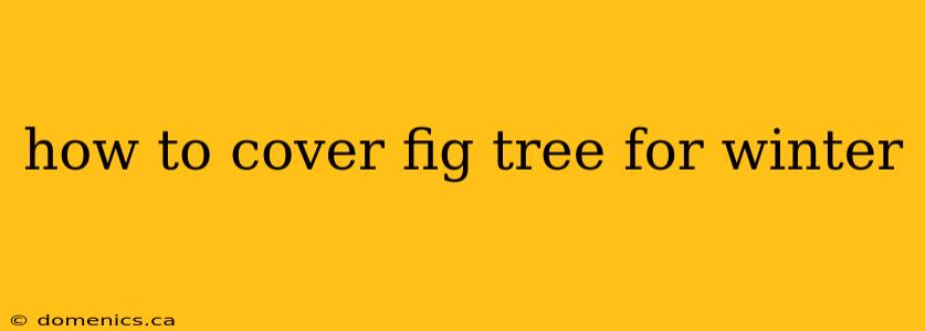 how to cover fig tree for winter