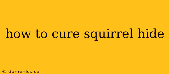 how to cure squirrel hide