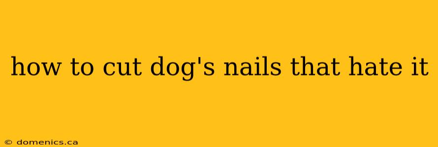 how to cut dog's nails that hate it