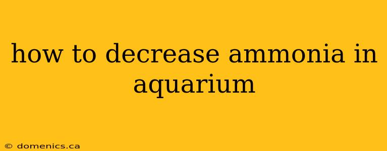 how to decrease ammonia in aquarium