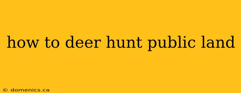 how to deer hunt public land