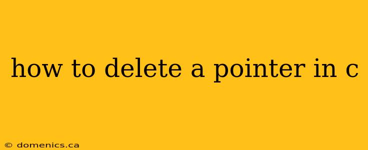 how to delete a pointer in c