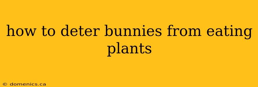 how to deter bunnies from eating plants