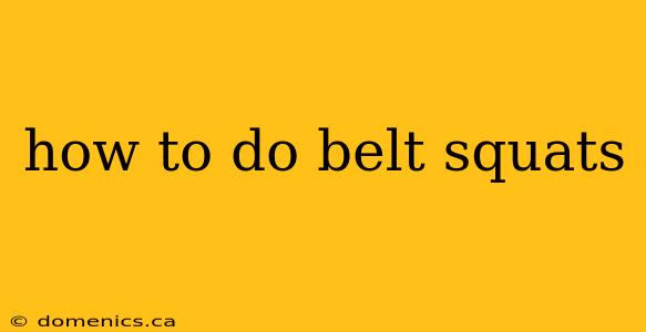 how to do belt squats