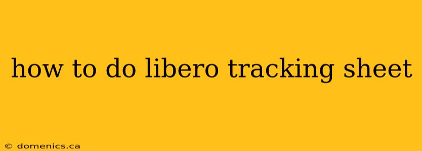 how to do libero tracking sheet