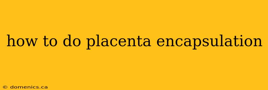 how to do placenta encapsulation