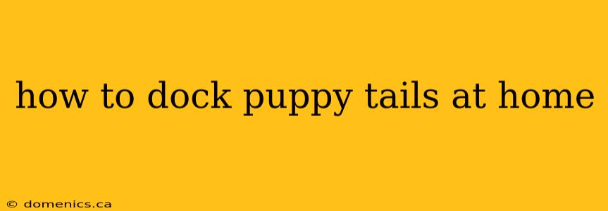 how to dock puppy tails at home