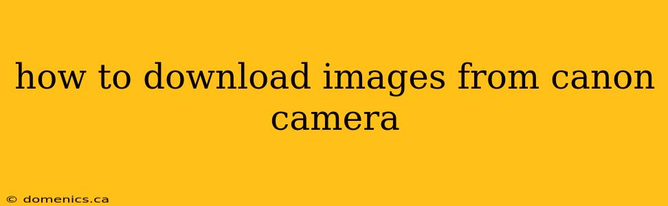 how to download images from canon camera